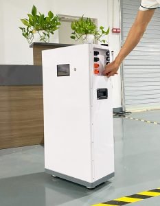 48v 300Ah real battery