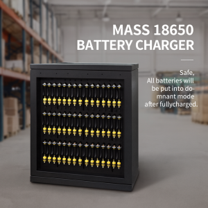 18650 battery bulk charger